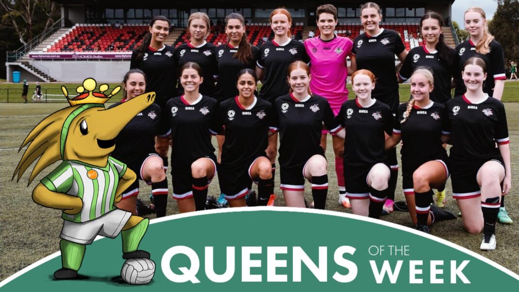 Blacktown City women's team (image credit: Football NSW)